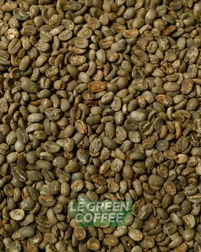 Arabica Flores Full Wash