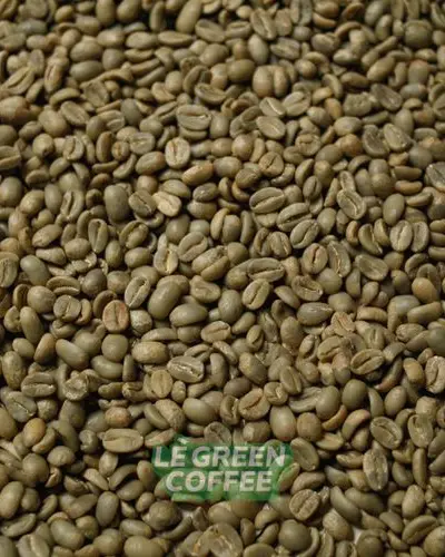 Arabica Ijen Kenyan Washed