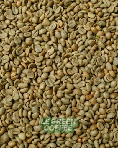 Arabica Kerinci Anaerob Full Wash