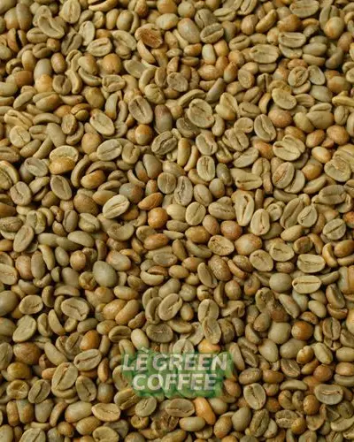 Arabica Kerinci Natural Lactic
