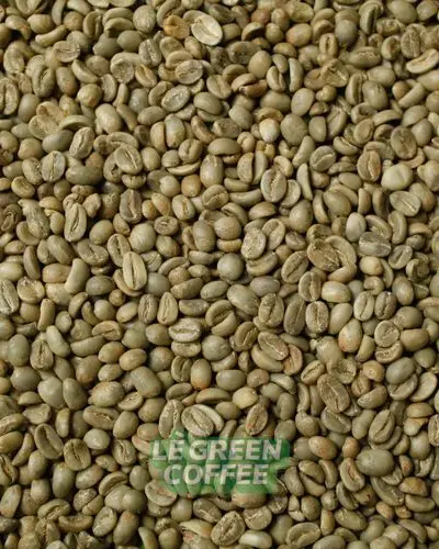 Arabica Trawas Full Wash 