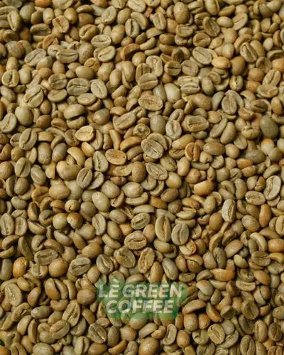 Arabica Trawas Natural Anaerob