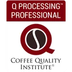 q-processing-professional.png