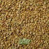 Kerinci Natural Anaerob.jpg