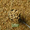 Kerinci natural anaerob CU.jpg