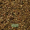 Robusta wonosalam.jpg