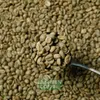 Trawas fullwash CU.jpg