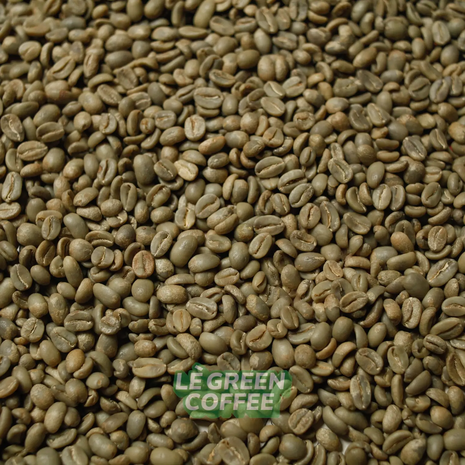 Arabica Ijen Kenyan Washed