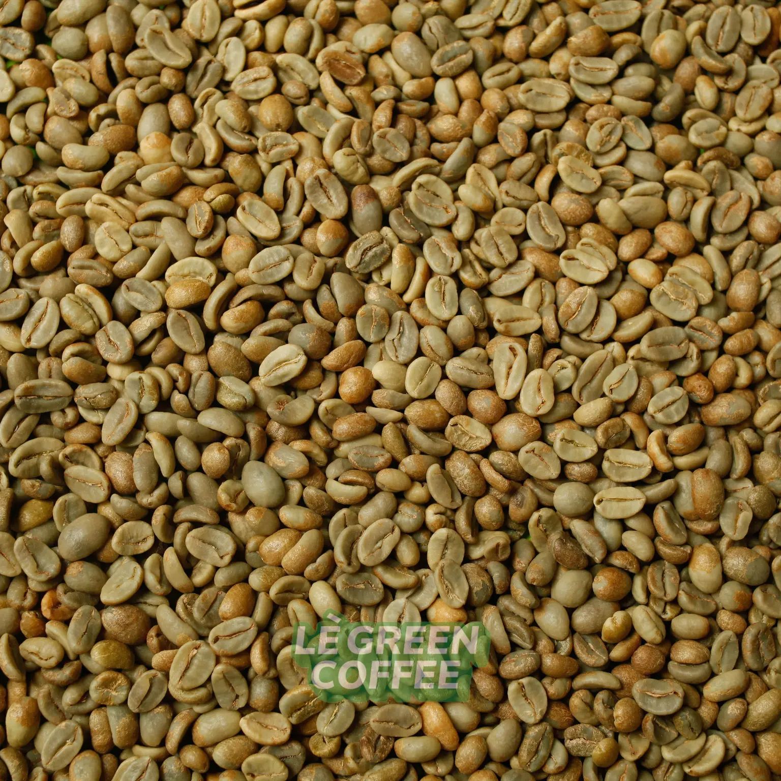 Arabica Kerinci Natural Lactic