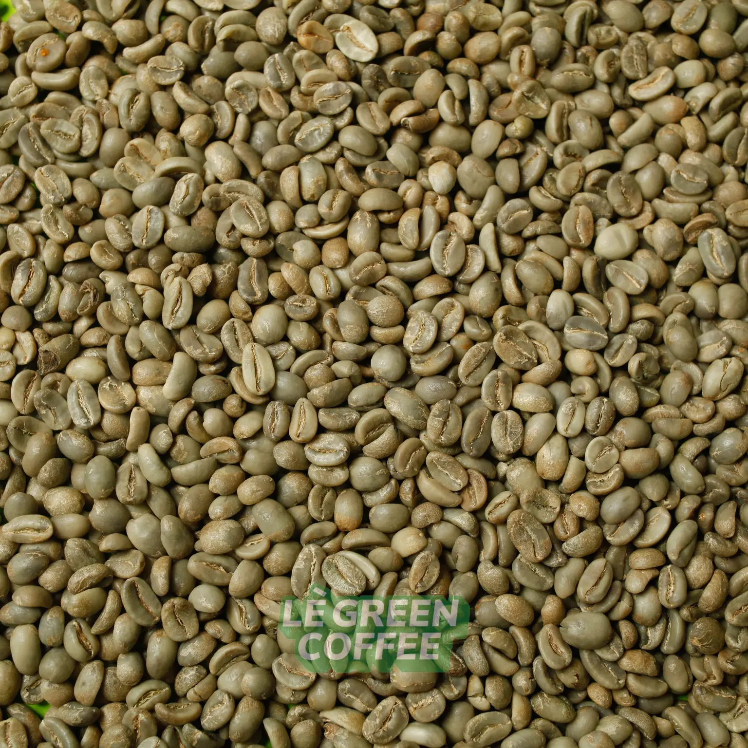 Arabica Trawas Full Wash 