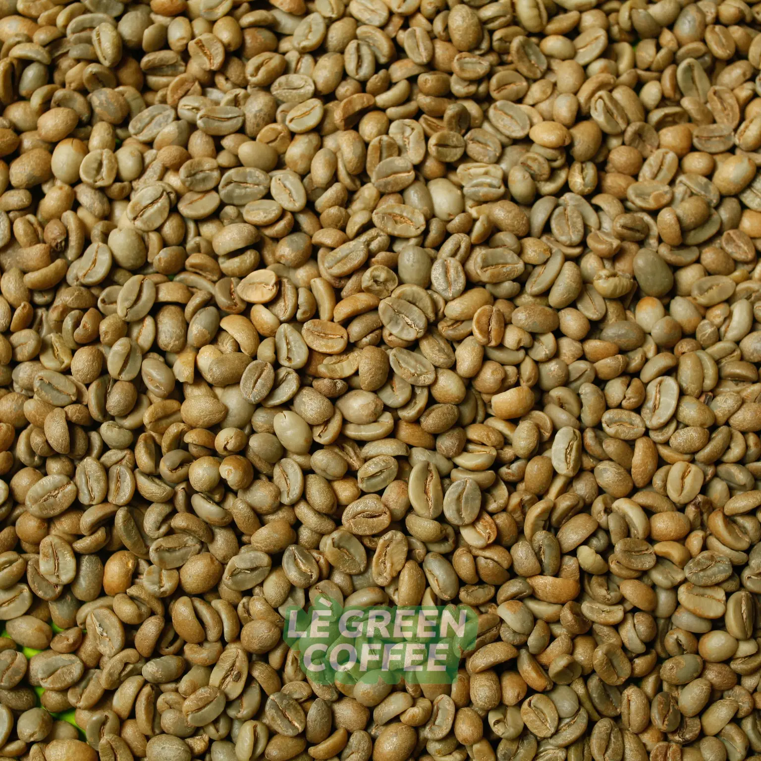 Arabica Trawas Natural Anaerob