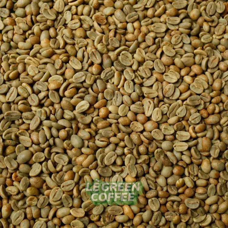 Arabica Kerinci Natural Lactic